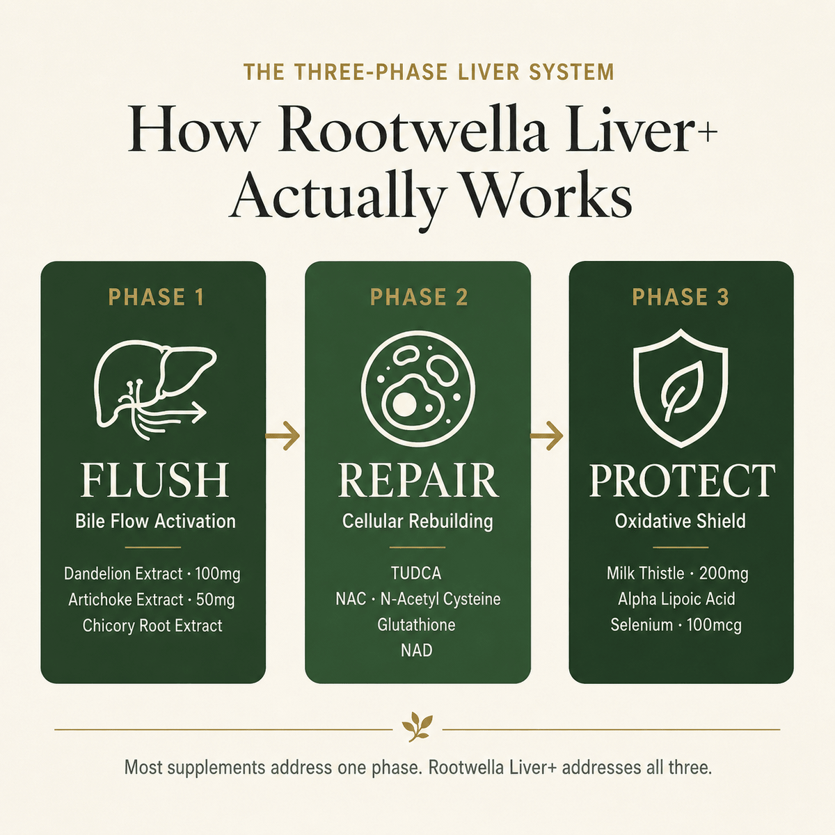 Liver+ Advanced 20 in 1 Capsules