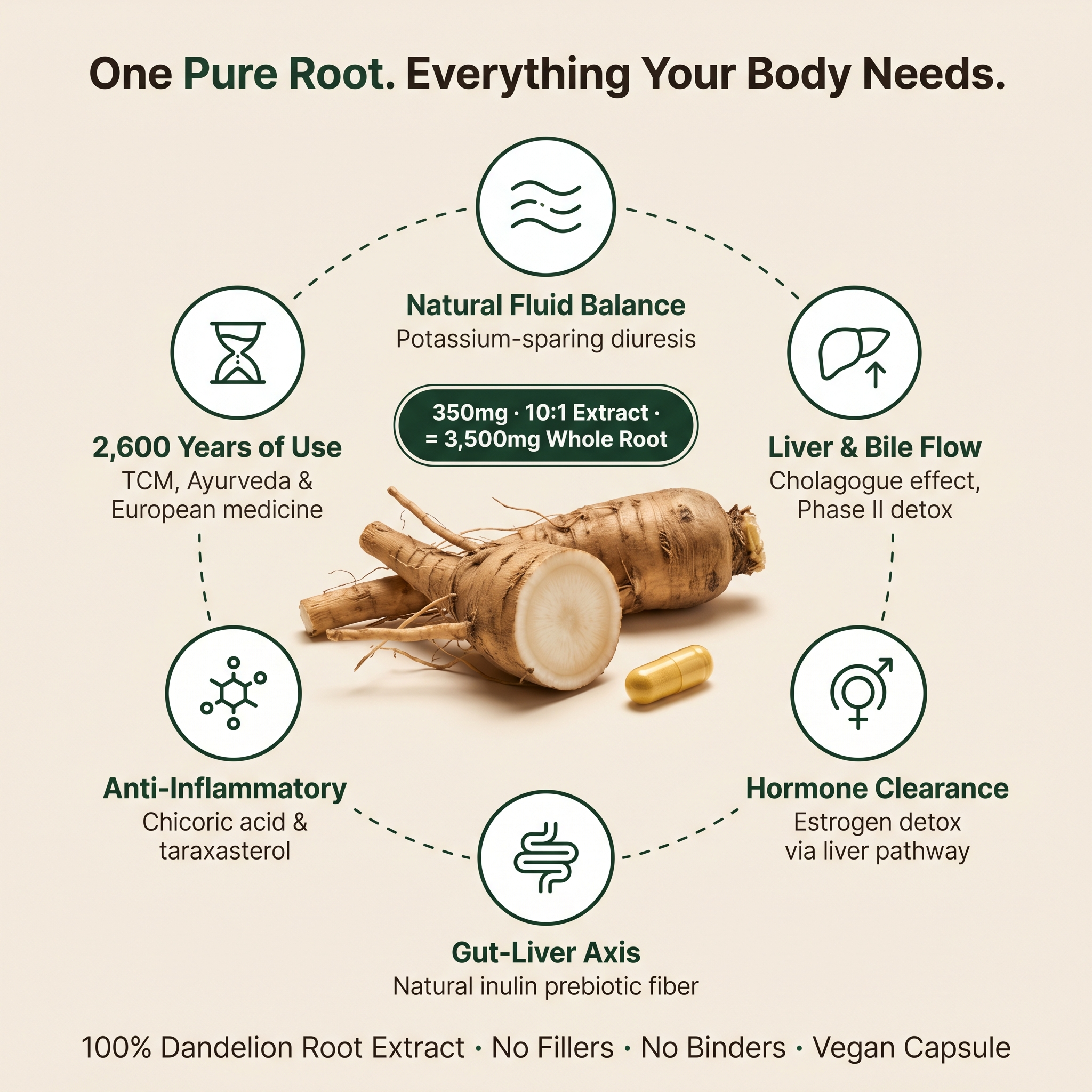 The Daily Root — Dandelion Root Capsules