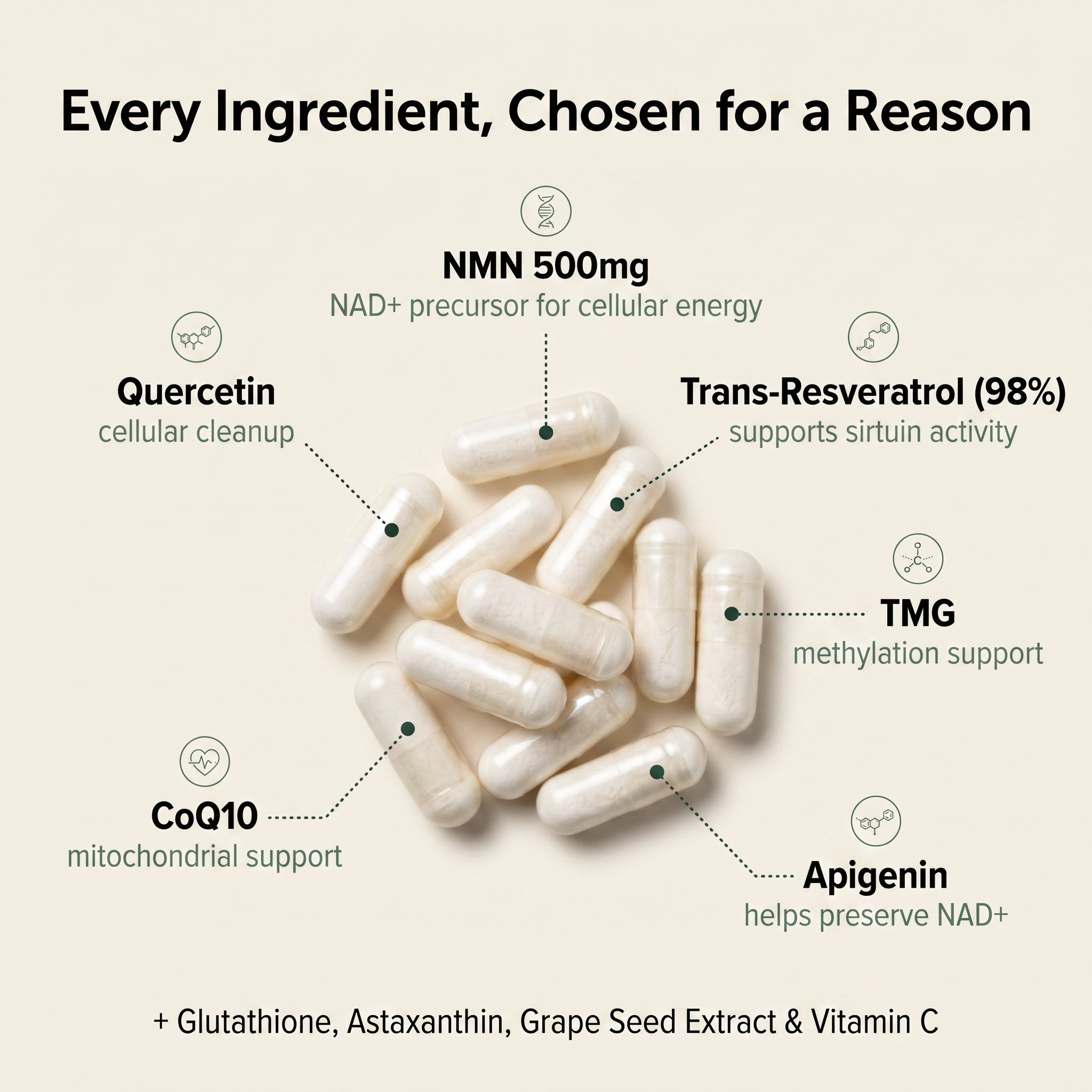 NMN Complex Capsules (1,000mg)