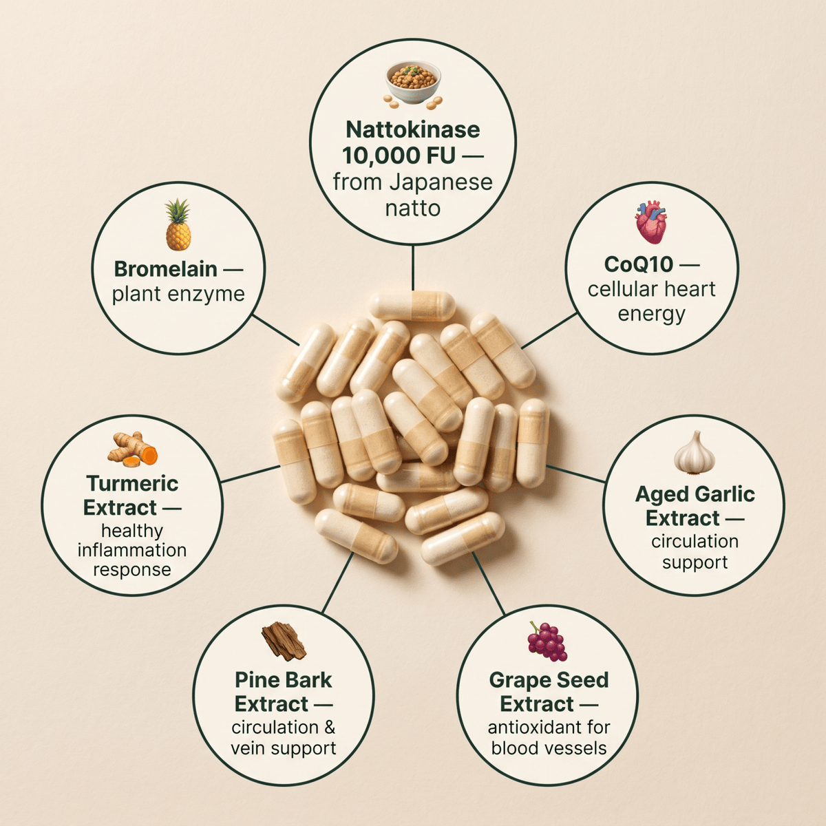 Japanese Nattokinase 10,000 FU — Circulation & Cardiovascular Support Complex VIP
