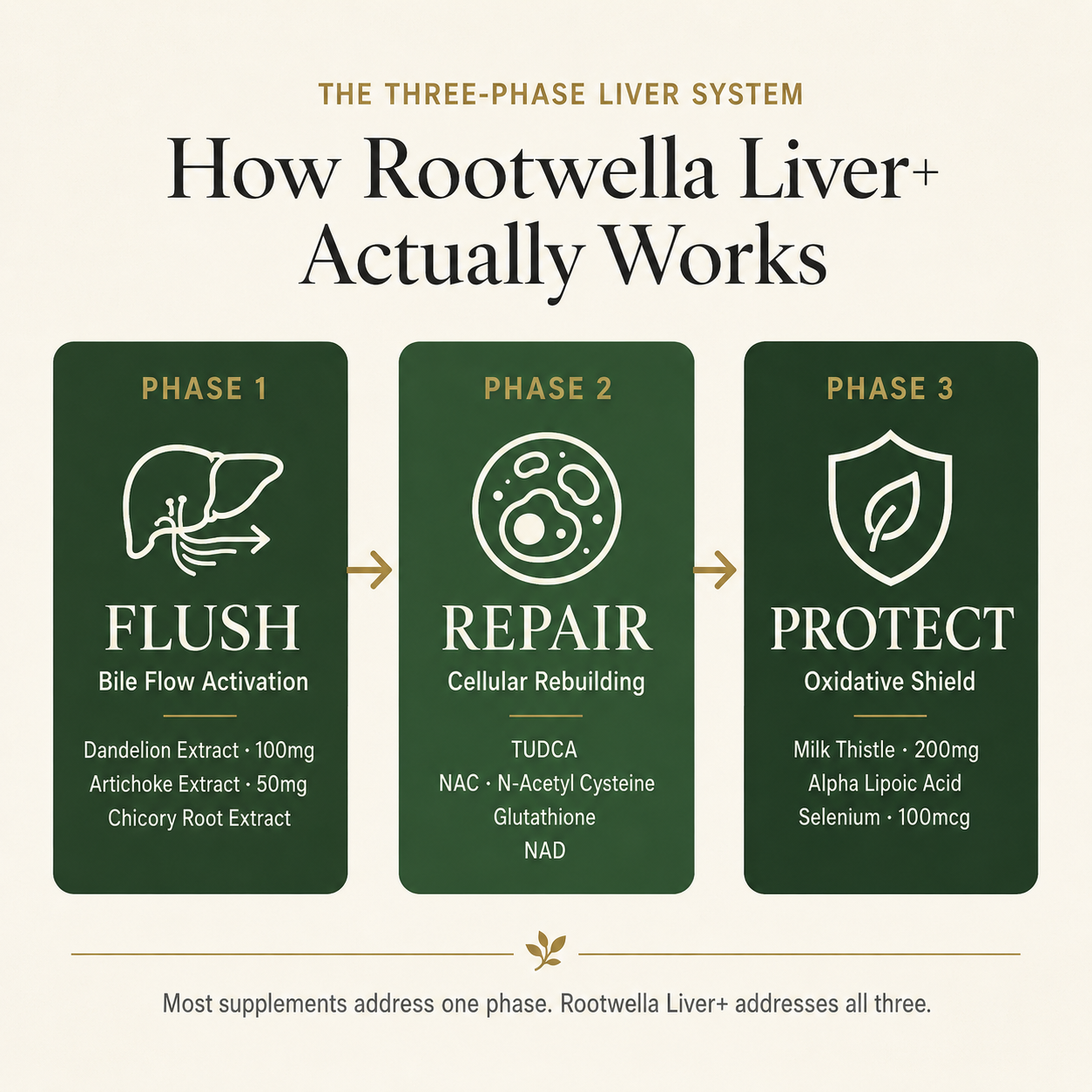 Liver+ Advanced 20 in 1 Capsules