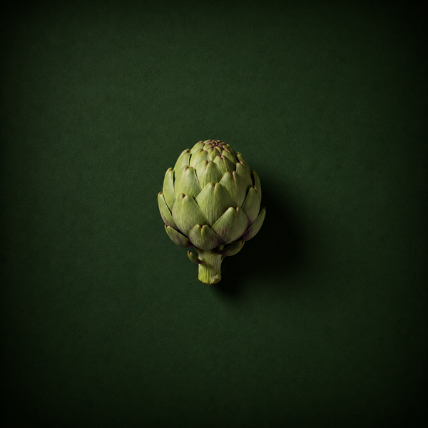 Artichoke Extract