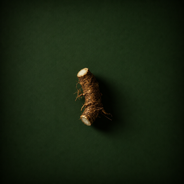 Dandelion Root