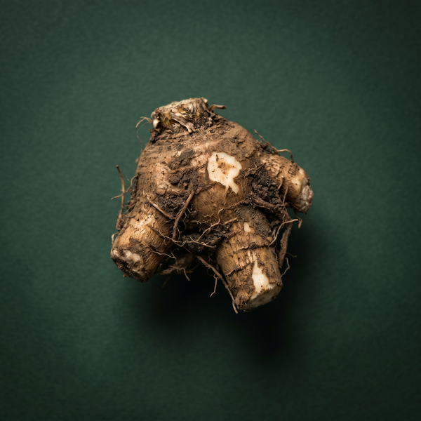 Dual-Extracted Dandelion Root
