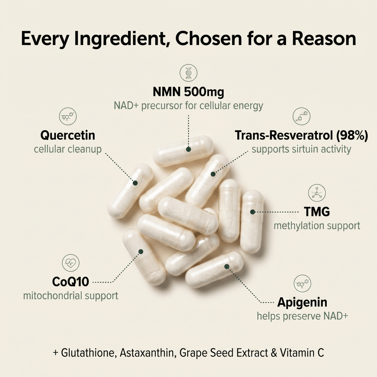 NMN Complex Capsules (1,000mg)
