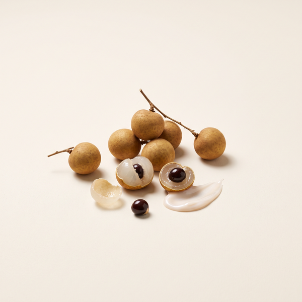 Longan Seed Extract